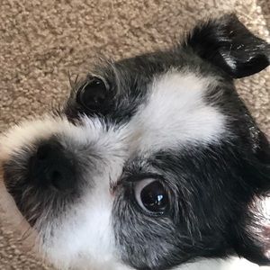 Meet your Posher, Eli